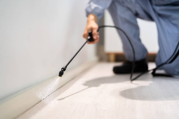 Licensed Termite Control service in Ovid, MI - Nex Pest Control