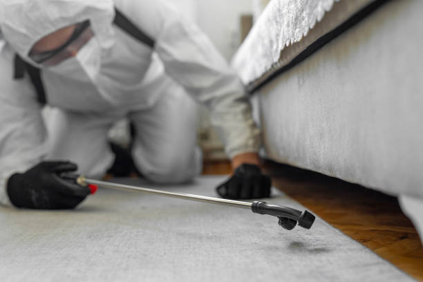 Professional Termite Control technician working in Ovid, MI