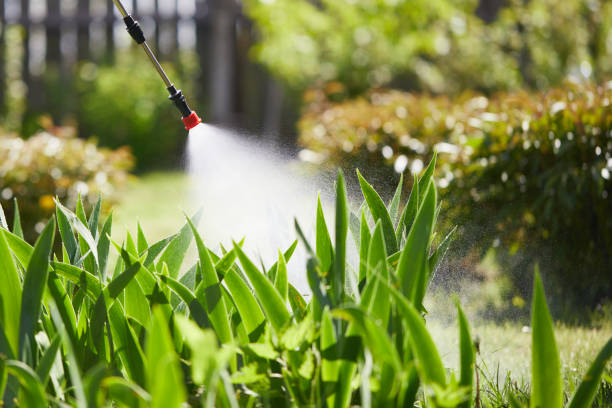 24/7 Emergency Termite Control experts in Ovid, MI