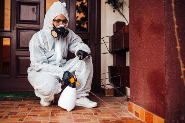 Reliable Termite Control contractor in Ovid, MI by Nex Pest Control