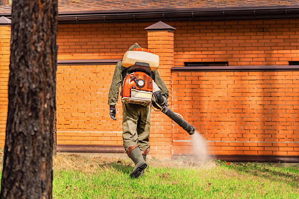 Trusted Rodent Control service in Ovid, MI - Nex Pest Control